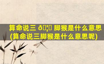 算命说三 🦄 脚猴是什么意思(算命说三脚猴是什么意思呢)